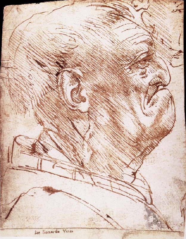 LEONARDO da Vinci Grotesque profile of a man oil painting image
